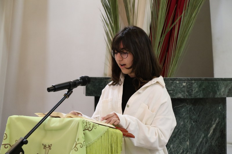 Mesrobian Picture Albums